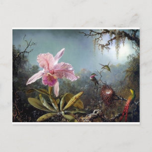 Hummingbird orchid flower tropical forest painting postcard