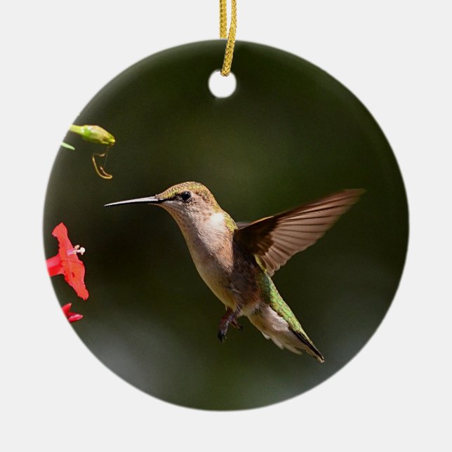 Hummingbird Ornament (Front)