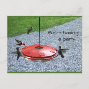 Hummingbird party invitation