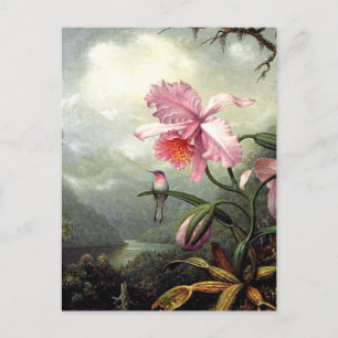 Hummingbird Perched, fine art, Postcard