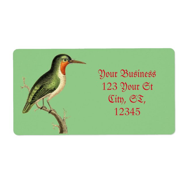 Hummingbird Perched Thunder_Cove (Front)