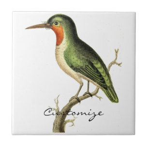 Hummingbird Perched Thunder_Cove Ceramic Tile