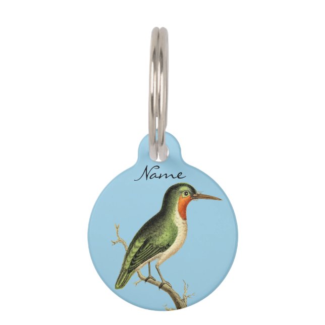 Hummingbird Perched Thunder_Cove Pet Tag (Back)