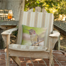 Hummingbird Photo Outdoor Throw Pillow