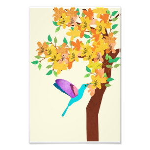 Hummingbird Photo Print