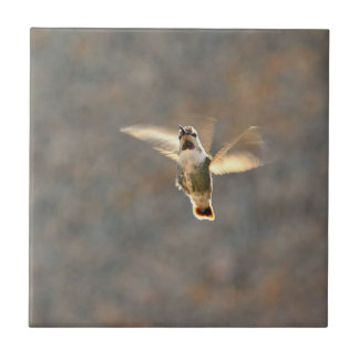 Hummingbird photo tile! ceramic tile
