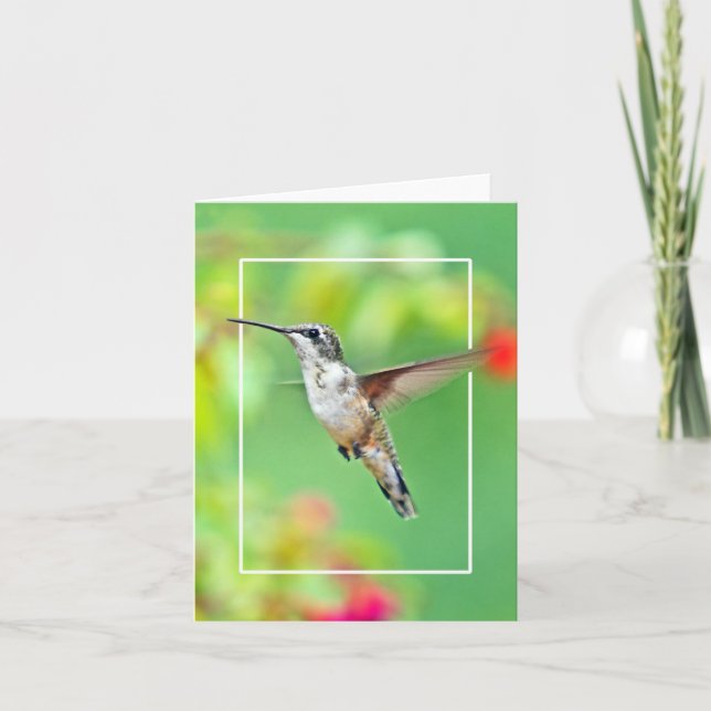 Hummingbird Photograph Card (Front)