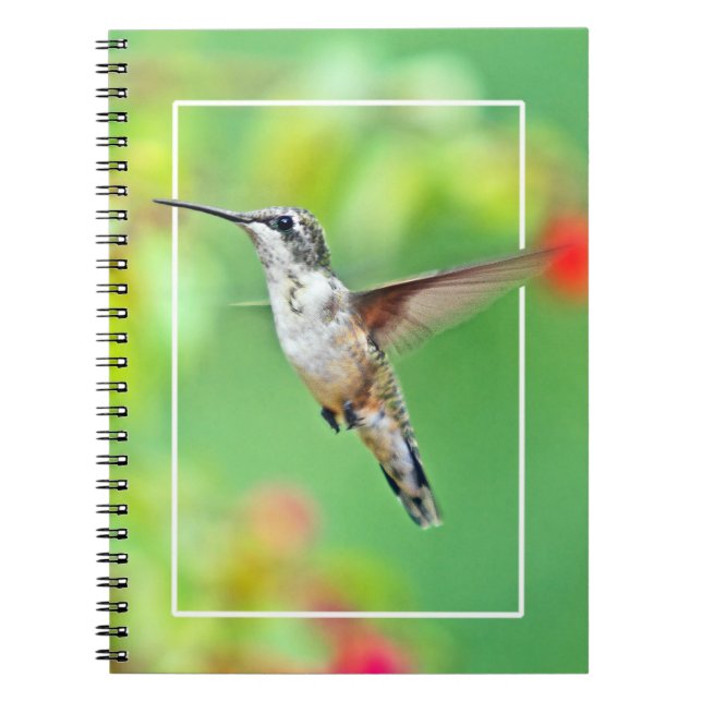 Hummingbird Photograph Notebook (Front)