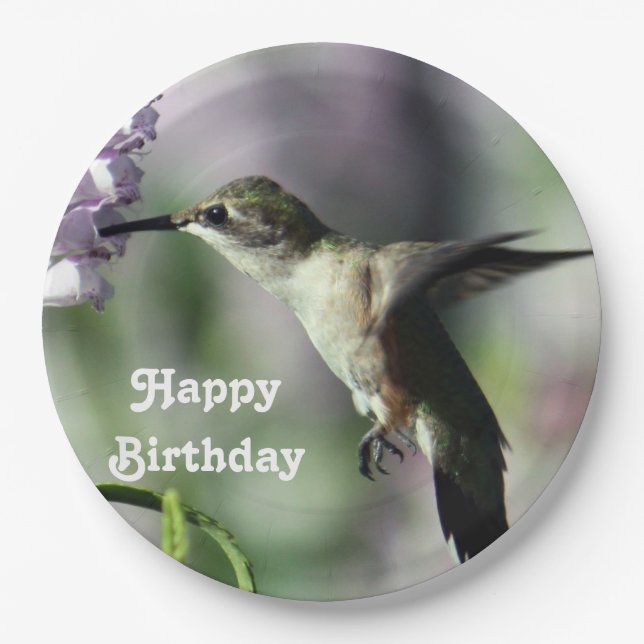 Hummingbird Pink Floral Wildlife Photo Birthday Paper Plate (Front)