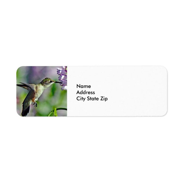 Hummingbird Pink Floral Wildlife Photo Return Address Label (Front)
