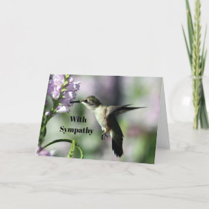 Hummingbird Pink Floral Wildlife Photo Sympathy Card