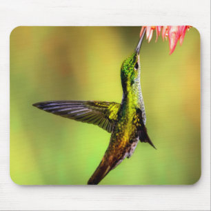Hummingbird Pink Flower Bird Mouse Pad