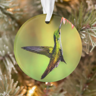 Hummingbird Pink Flower Bird Ornament
