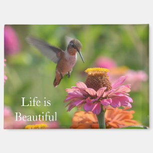Hummingbird Pink Zinnia Flowers (photo by me) Magnet