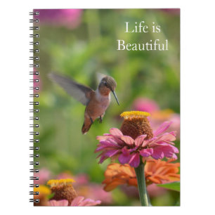 Hummingbird Pink Zinnia Flowers (photo by me) Notebook