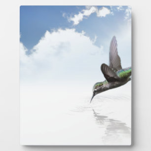 Hummingbird Plaque