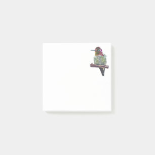 Hummingbird Post-it Notes