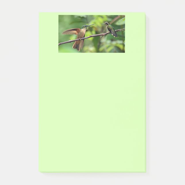 Hummingbird post it notes (Front)