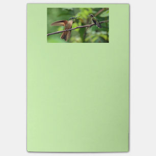 Hummingbird post it notes