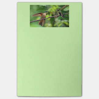Hummingbird post it notes