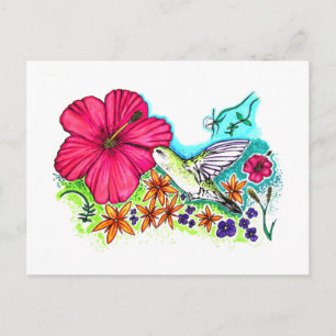 Hummingbird Postcard