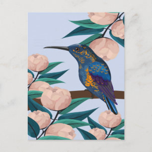Hummingbird Postcard