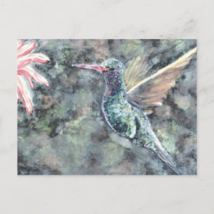 hummingbird postcard