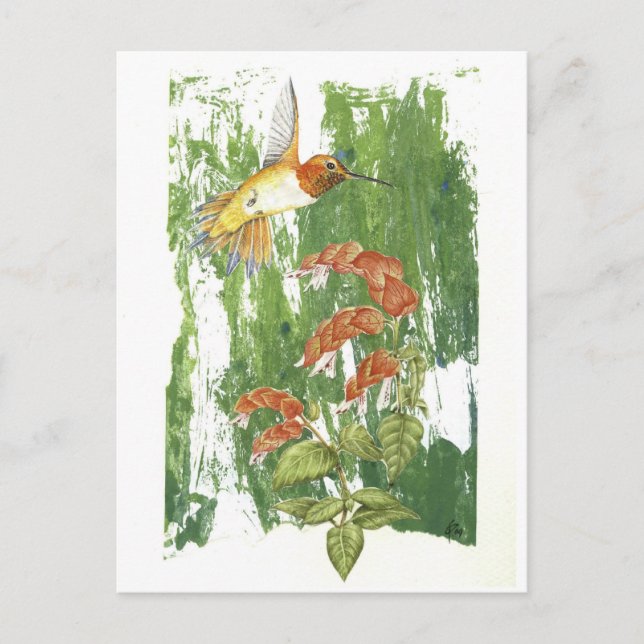 Hummingbird Postcard (Front)