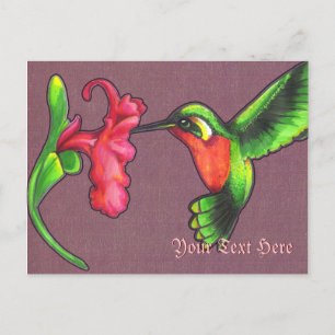 Hummingbird Postcard