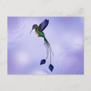 Hummingbird Postcard