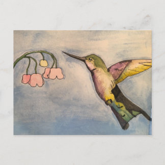 Hummingbird Postcard