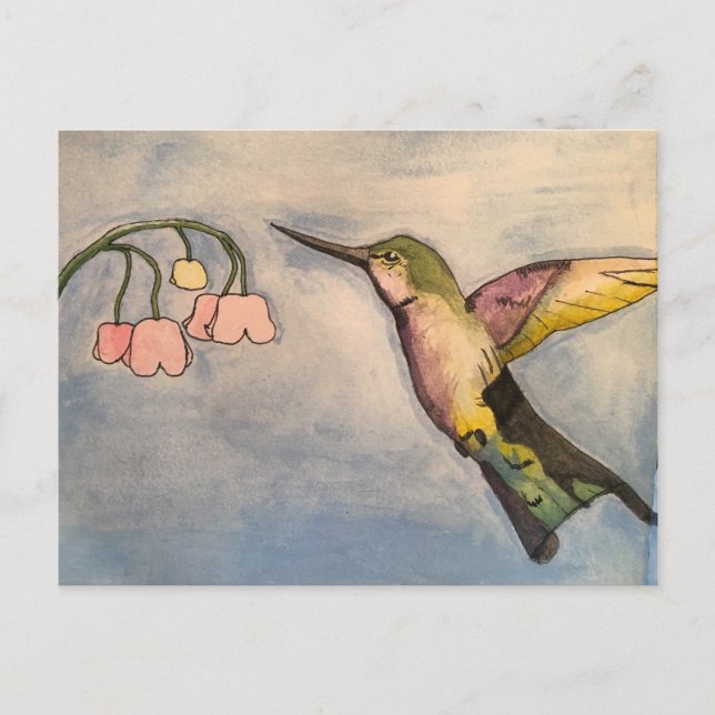 Hummingbird Postcard (Front)