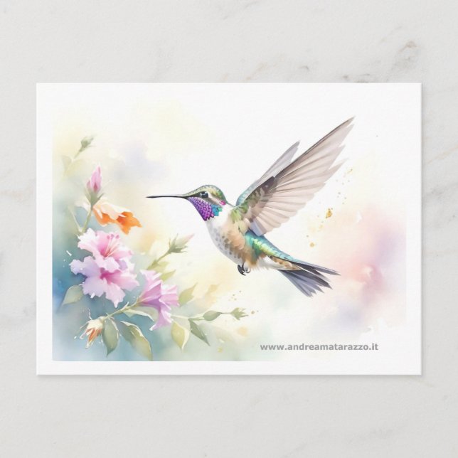 Hummingbird Postcard (Front)