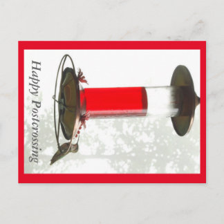 Hummingbird Postcrossong Postcard