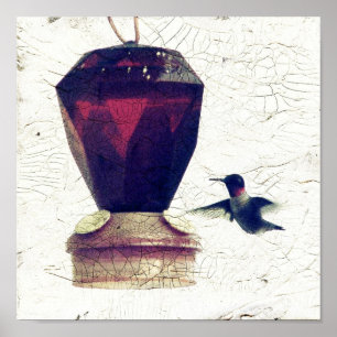 Hummingbird Poster