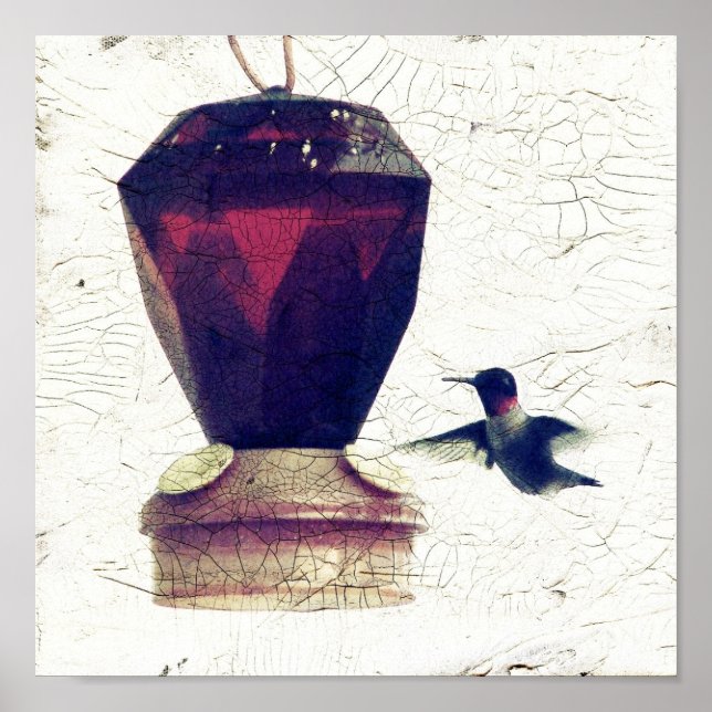 Hummingbird Poster (Front)