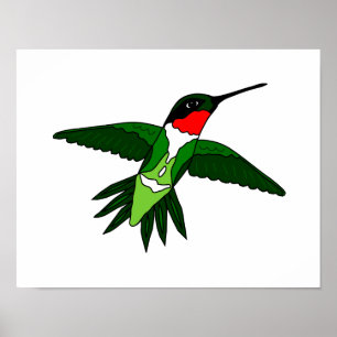 Hummingbird Poster