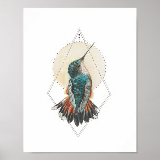 Hummingbird Poster