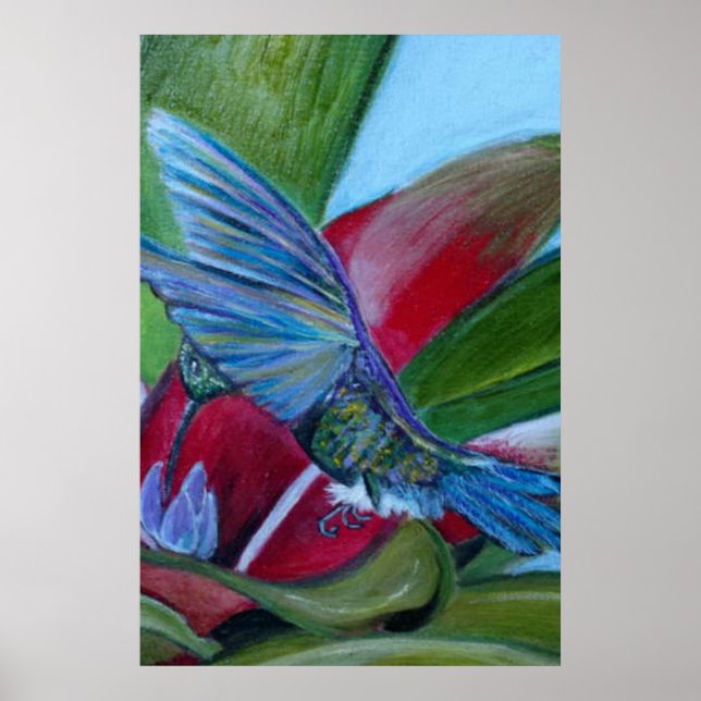 Hummingbird Poster (Front)