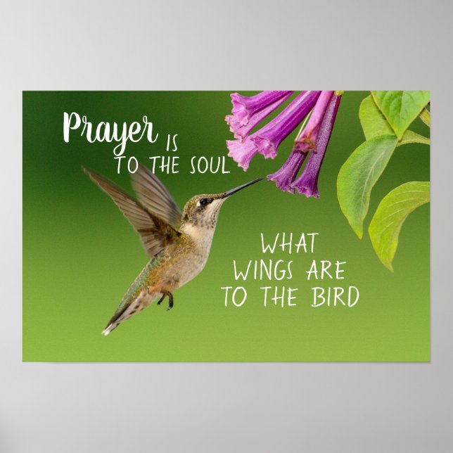 Hummingbird Prayer is to the Soul Poster (Front)