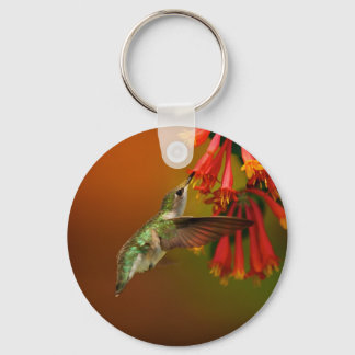 Hummingbird products key ring
