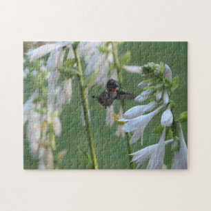 Hummingbird Puzzle
