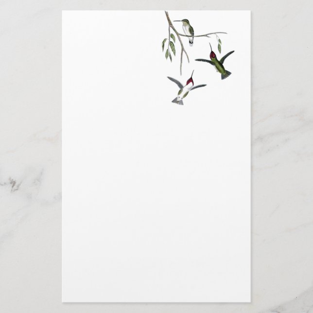 Hummingbird Recycled Stationery (Front)