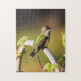 Hummingbird resting on a trellis jigsaw puzzle
