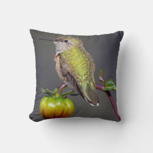 Hummingbird rests on flower bud cushion