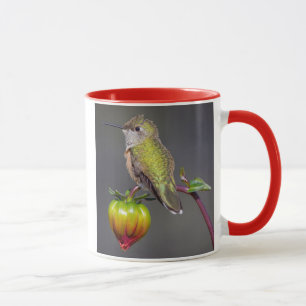 Hummingbird rests on flower bud mug