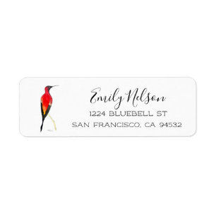 Hummingbird Return Address Label