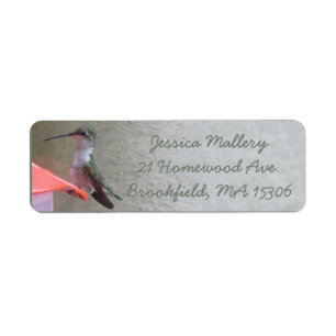 Hummingbird Return Address Label