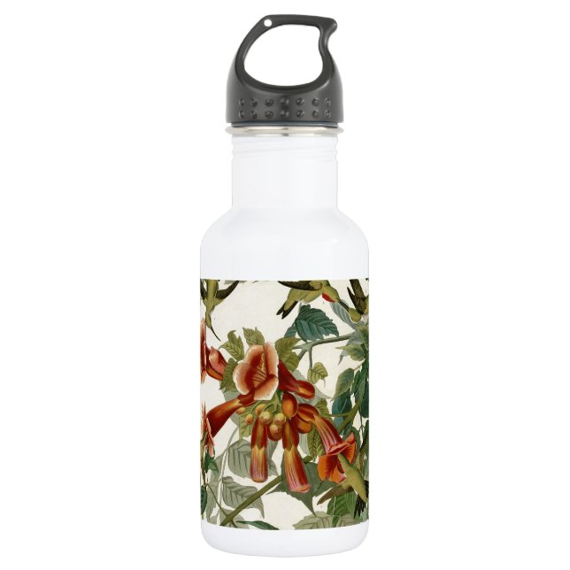 Hummingbird Ruby Throated Audubon Bird 532 Ml Water Bottle (Front)