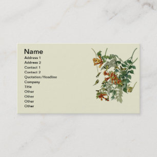 Hummingbird Ruby Throated Audubon Bird Business Card